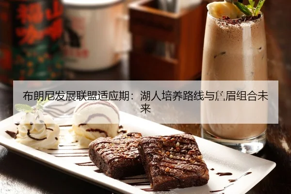 布朗尼发展联盟适应期：湖人培养路线与詹眉组合未来