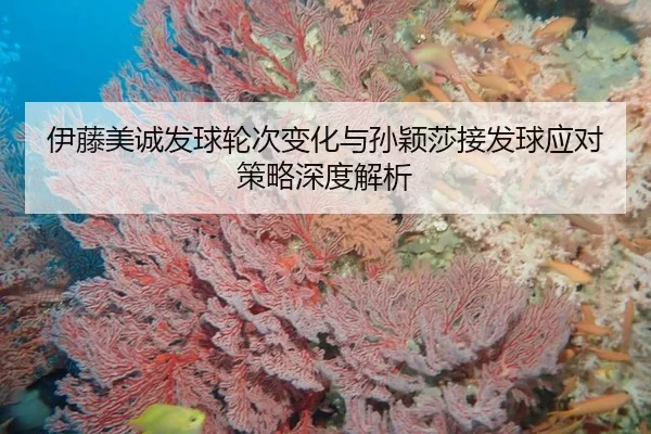yi-teng-mei-cheng-fa-qiu-lun-ci-bian-hua-yu-sun-ying-sha-jie-fa-qiu-ying-dui-ce-lve-shen-du-jie-xi-2-616.jpg