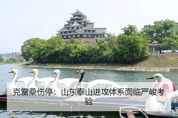 ke-lei-sang-shang-ting-shan-dong-tai-shan-jin-gong-ti-xi-mian-lin-yan-jun-kao-yan-3-752.jpg