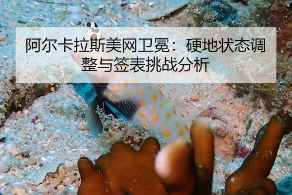 阿尔卡拉斯美网卫冕：硬地状态调整与签表挑战分析