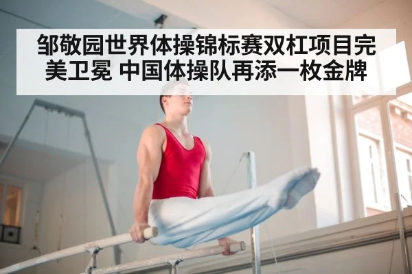 邹敬园世界体操锦标赛双杠项目完美卫冕 中国体操队再添一枚金牌